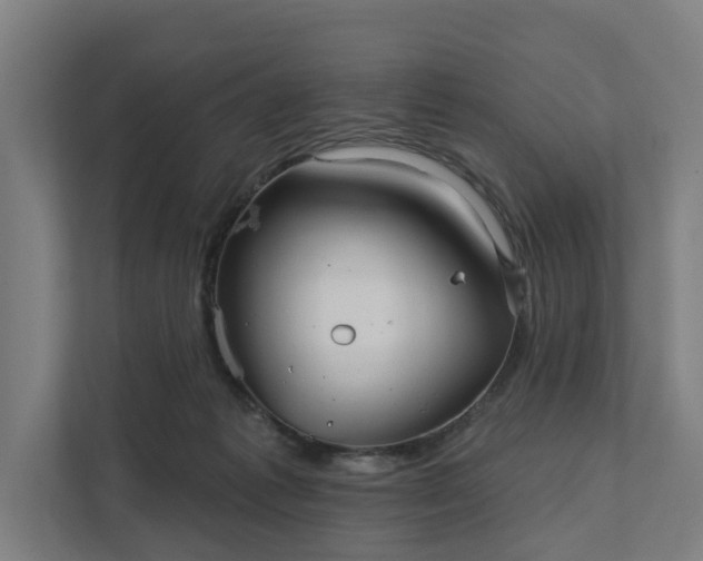 X0000111930221200908101148