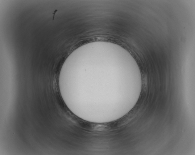 X0000111930222200908101148