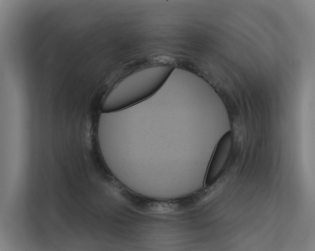 X0000111930223200908101148