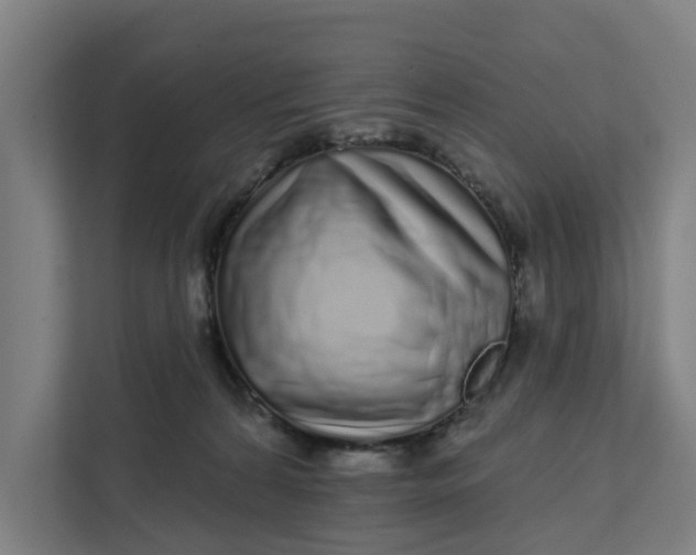 X0000111930224200908101148