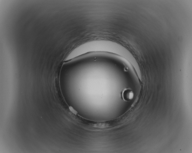 X0000111930225200908101148