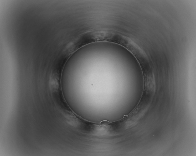 X0000111930226200908101148