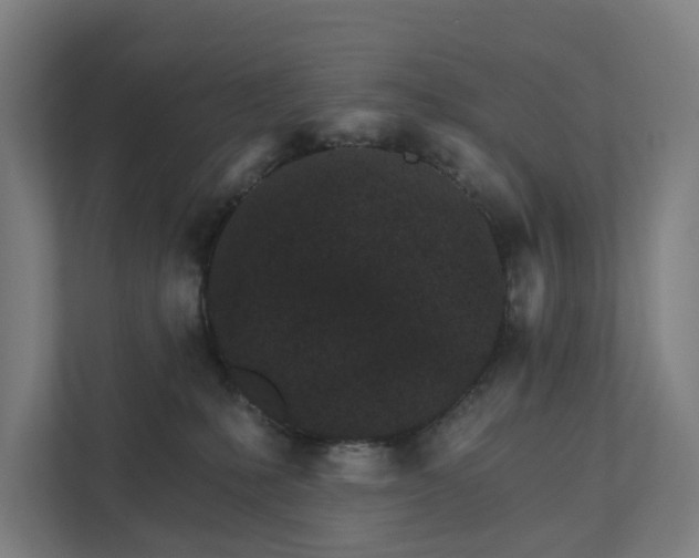 X0000111930231200908101148