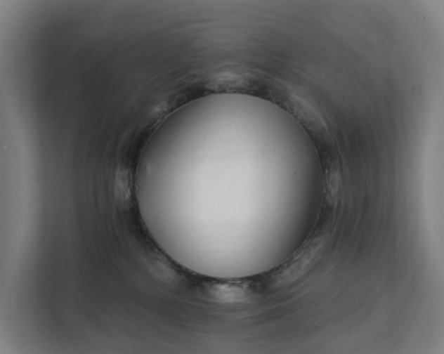 X0000111930232200908101148