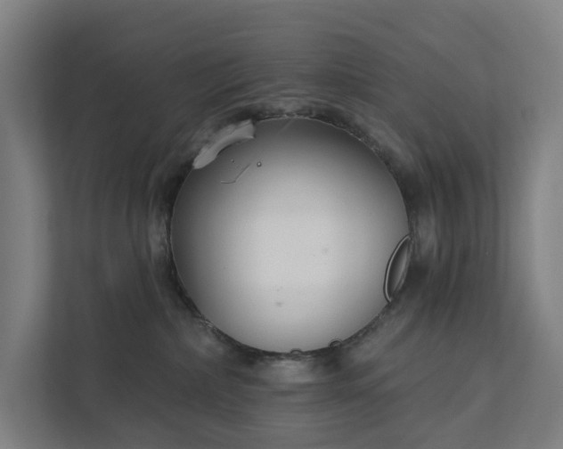 X0000111930236200908101148