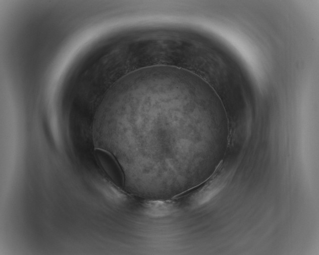 X0000111930239200908101148