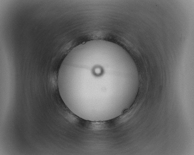 X0000111930240200908101148