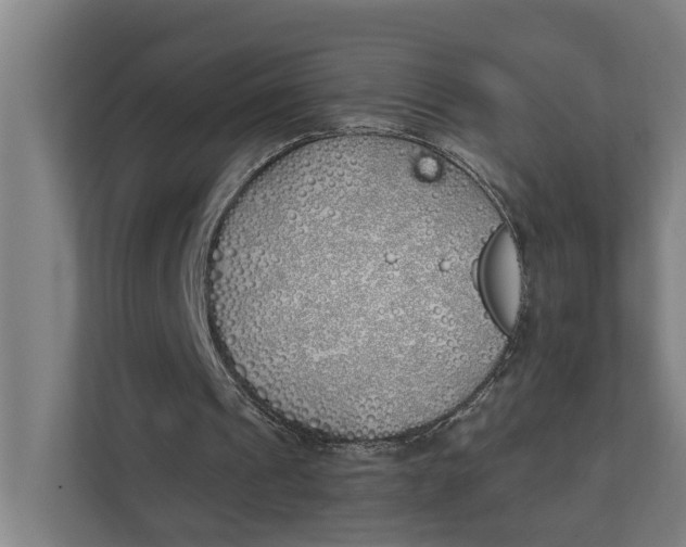 X0000111930241200908101147