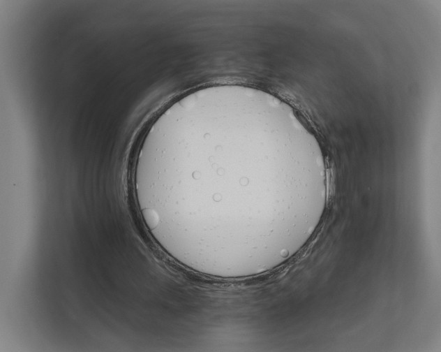 X0000111930243200908101147