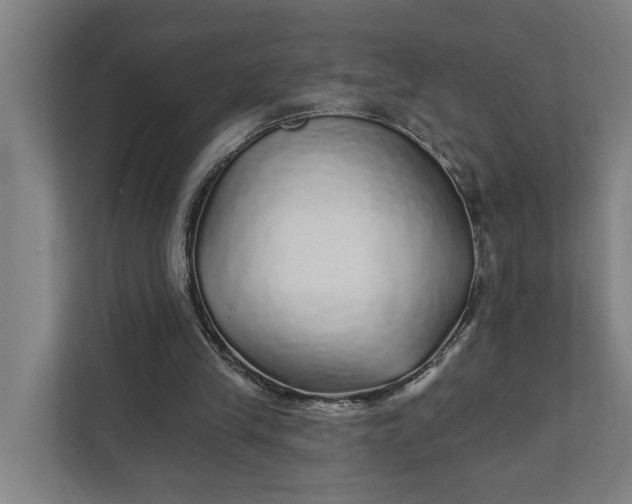 X0000111930245200908101147