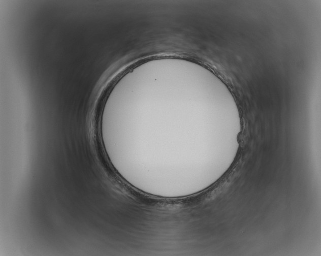 X0000111930247200908101147