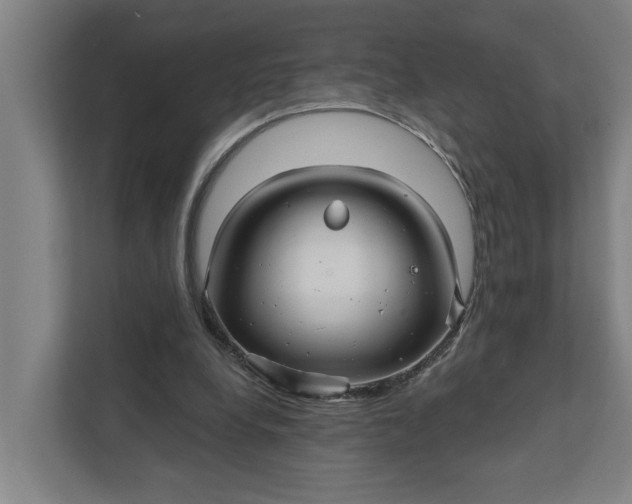 X0000111930248200908101147