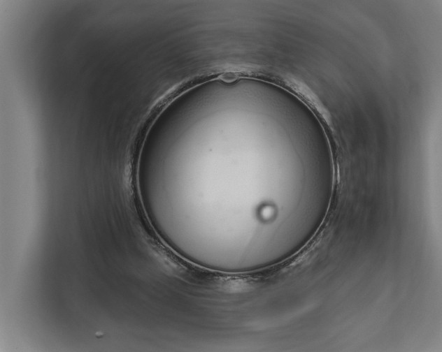 X0000111930249200908101147