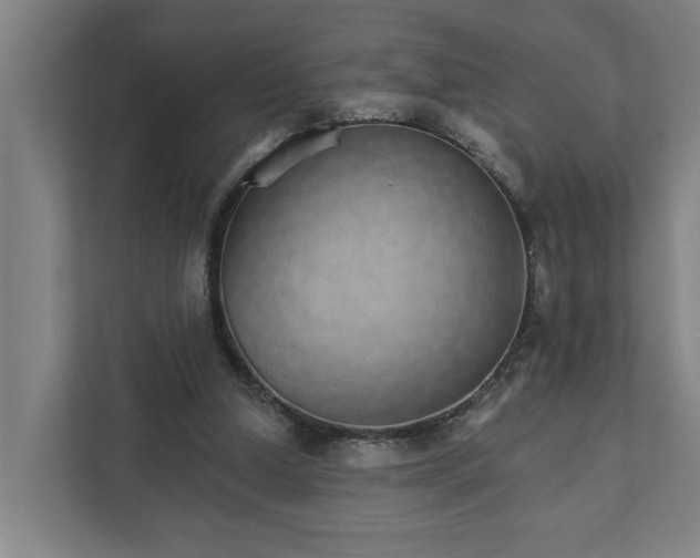 X0000111930250200908101147