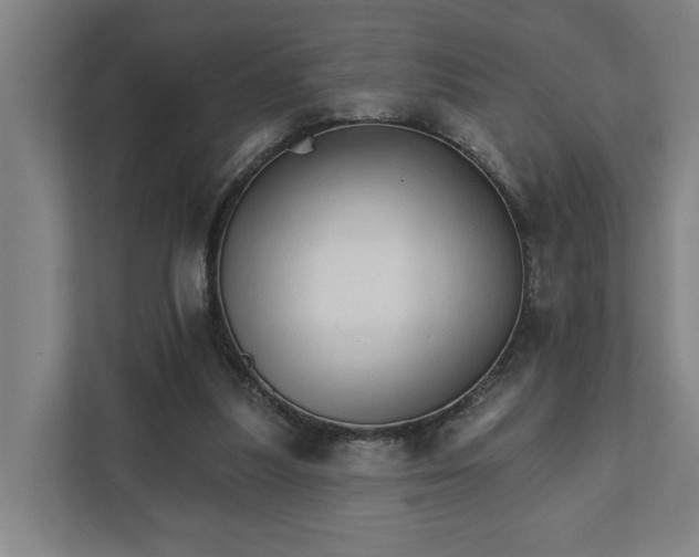 X0000111930251200908101147