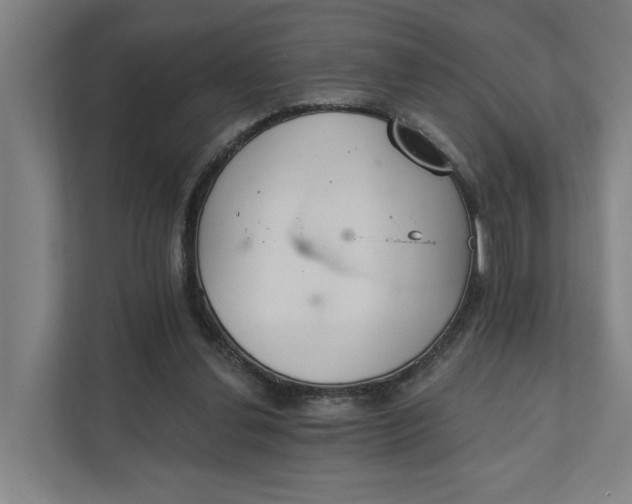 X0000111930252200908101147