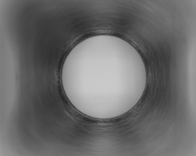 X0000111930255200908101147