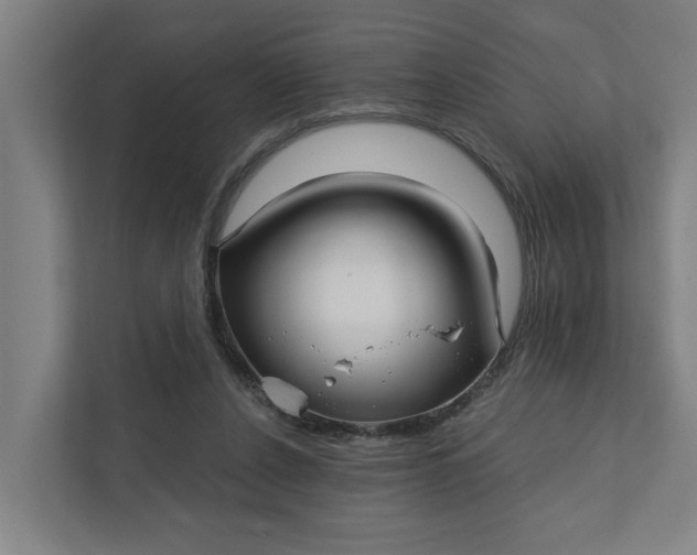 X0000111930256200908101147