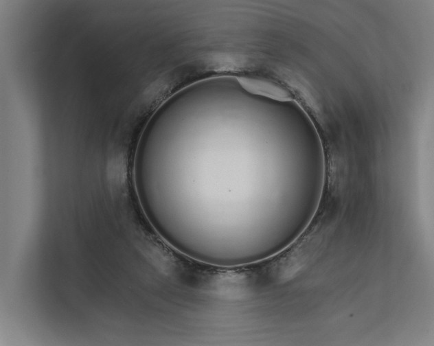 X0000111930257200908101147