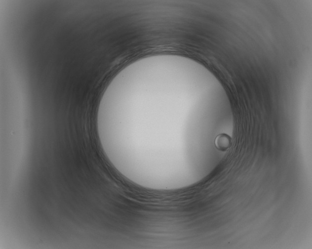 X0000111930260200908101147