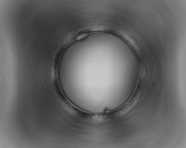 X0000111930261200908101147