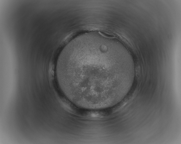 X0000111930264200908101148