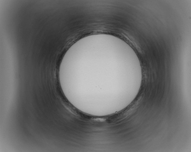 X0000111930265200908101148