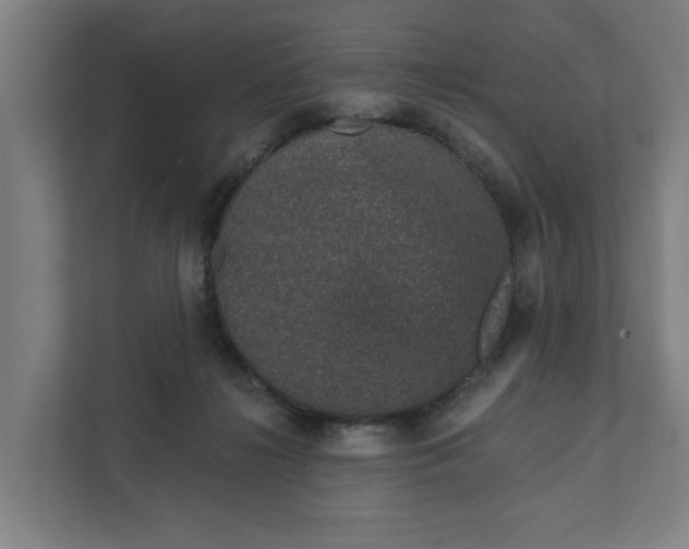 X0000111930268200908101148