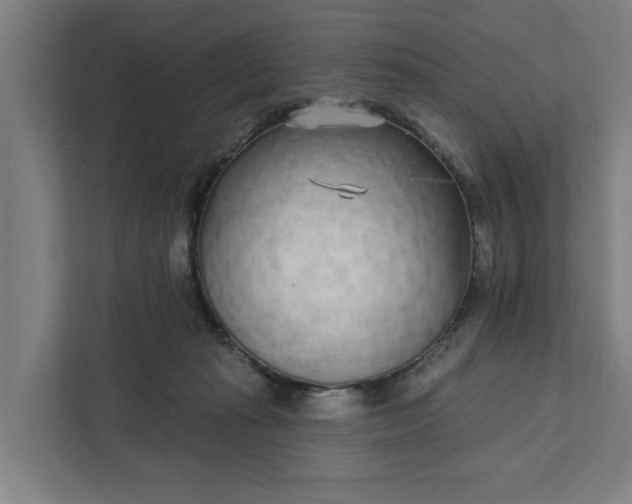 X0000111930269200908101148