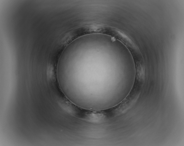 X0000111930270200908101148