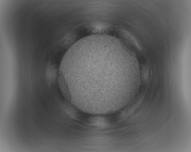 X0000111930276200908101148