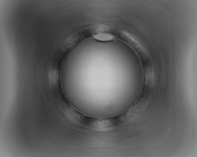 X0000111930278200908101148