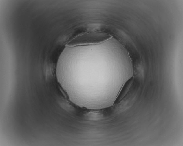 X0000111930280200908101148