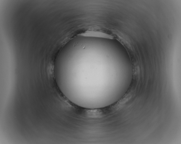 X0000111930281200908101148