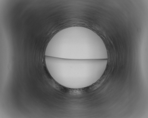 X0000111930282200908101148