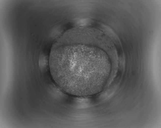 X0000111930284200908101148