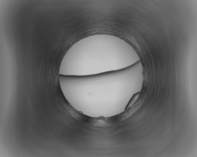 X0000111930285200908101148