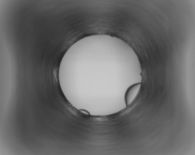 X0000111930286200908101148