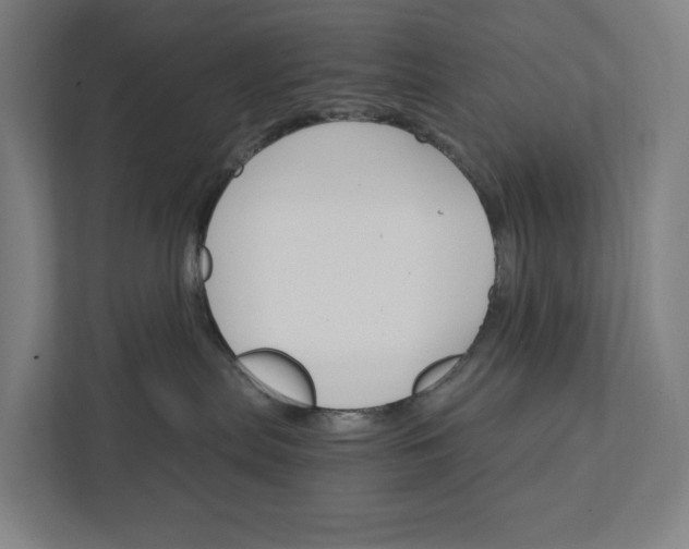 X0000111930287200908101148