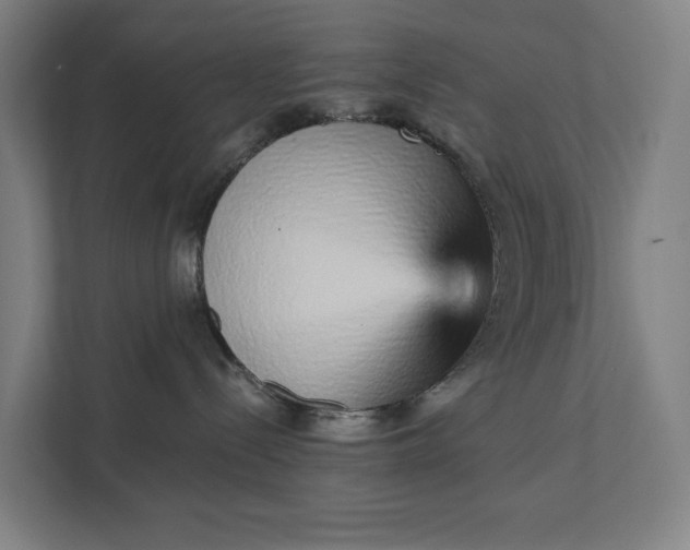 X0000111930288200908101148