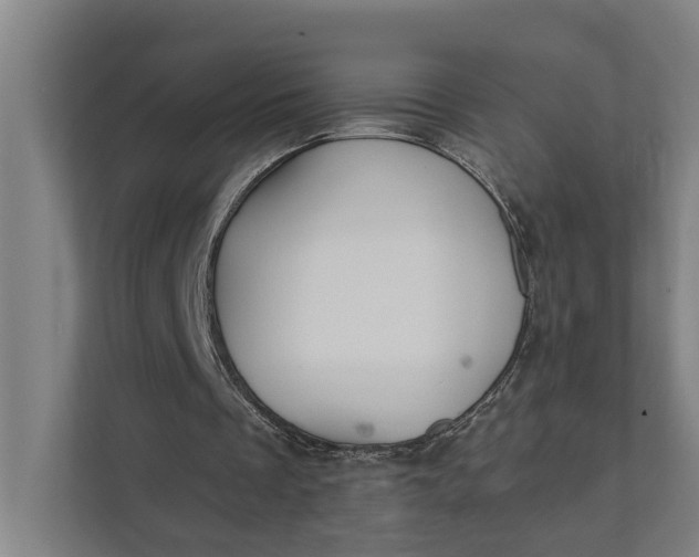 X0000111930289200908101147