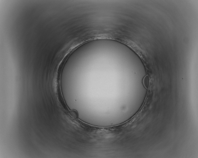 X0000111930290200908101147