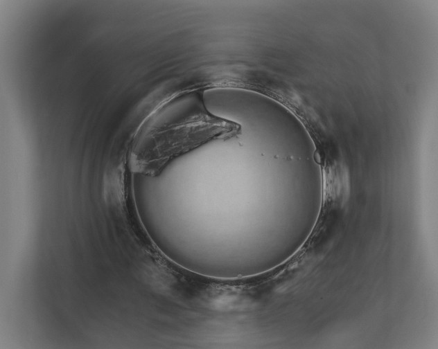 X0000111930291200908101147