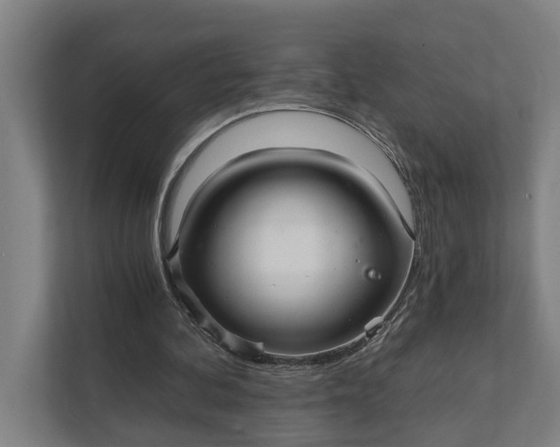 X0000111930292200908101147