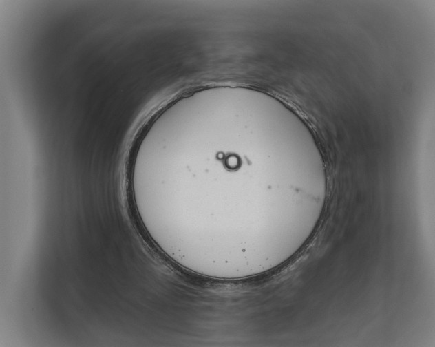 X0000111930293200908101147