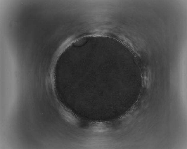 X0000111930295200908101147