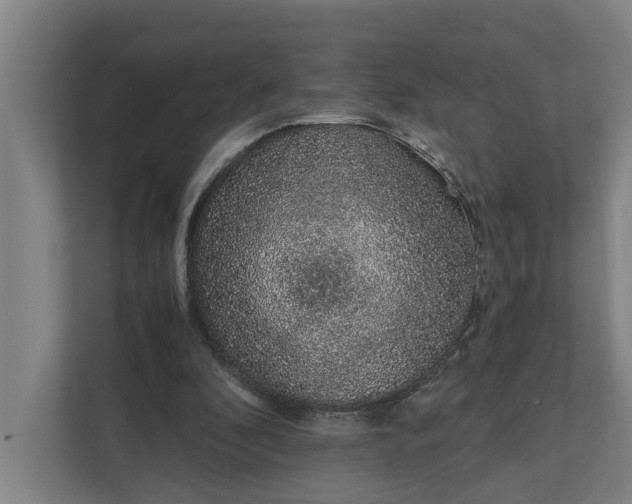 X0000111930296200908101147