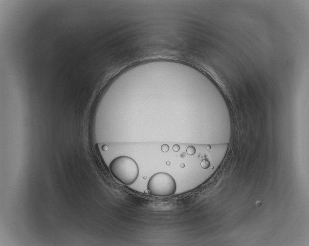 X0000111930299200908101147