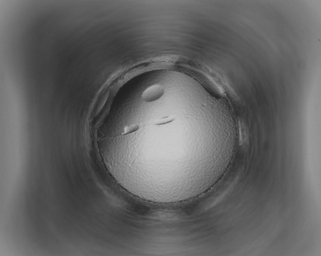 X0000111930300200908101147