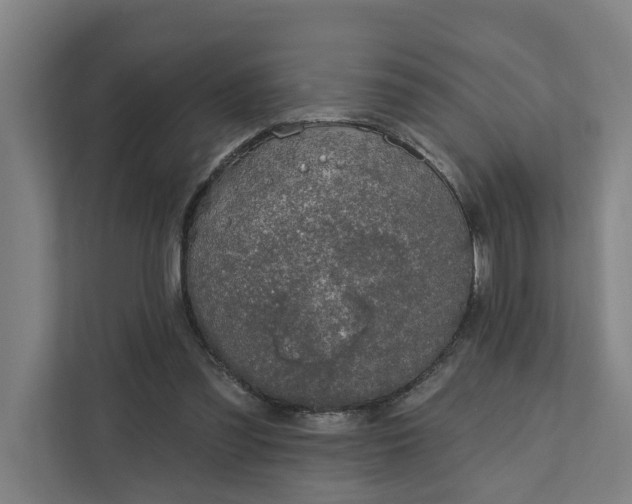 X0000111930301200908101147